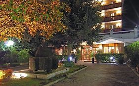 Hotel Pinewood Roma